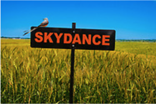 Skydance (OK13625) 