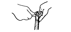 Demonstration of how to cut the branch.