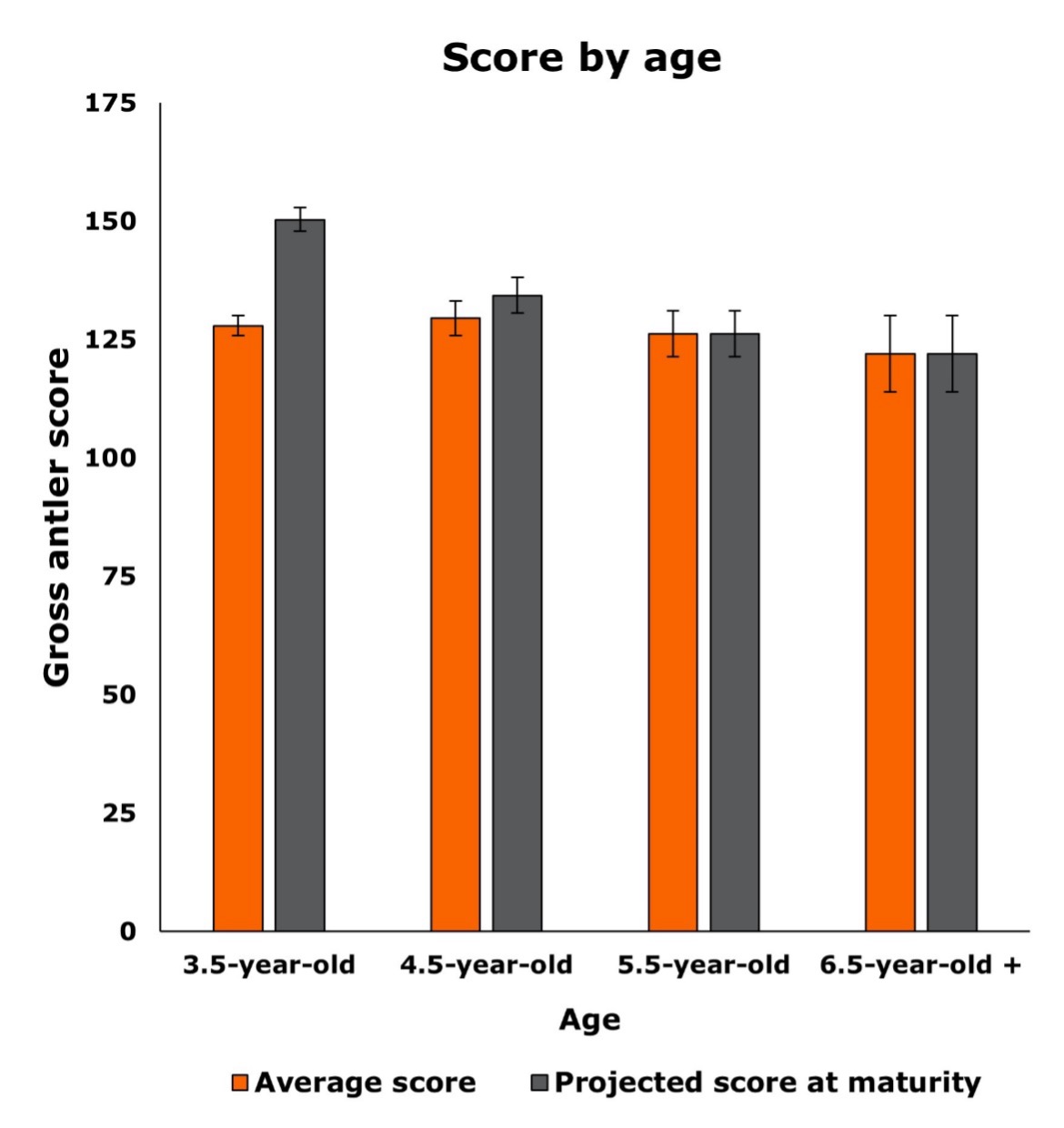 A bar graph that shows the Score by age, measuring the Gross antler score to the age, differentiating between orange and grey. The age 3.5 year old, in orange has a gross antler score of 125 and grey ias 150. The age 4.5 year old, in orange is at 125 and grey is at 130. The age 5.5 year old has a gross antler score of both orange and grey at 125. The age 6.5 year old has a gross antler score of both orange and grey at 125.