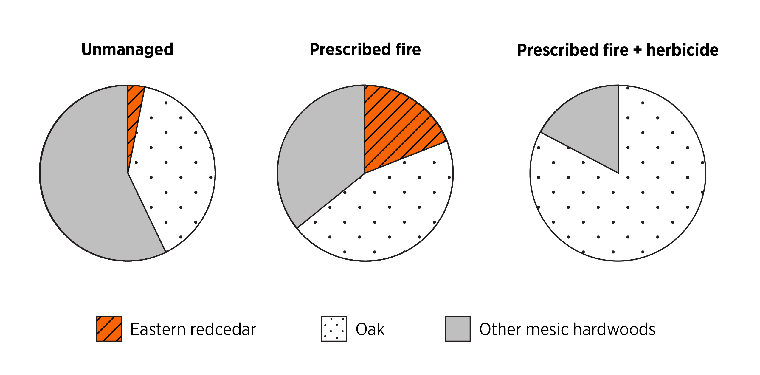 Three pie charts compare tree composition under unmanaged conditions, prescribed fire and prescribed fire with herbicide. Under unmanaged conditions, other mesic hardwoods make up the largest share, with oak also common and eastern redcedar limited. Prescribed fire increases eastern redcedar and oak presence, while combining prescribed fire with herbicide removes eastern redcedar and results in oak becoming the dominant tree type. Legend below the chart: orange striped = Eastern redcedar, dotted white = Oak and solid gray = Other mesic hardwoods.