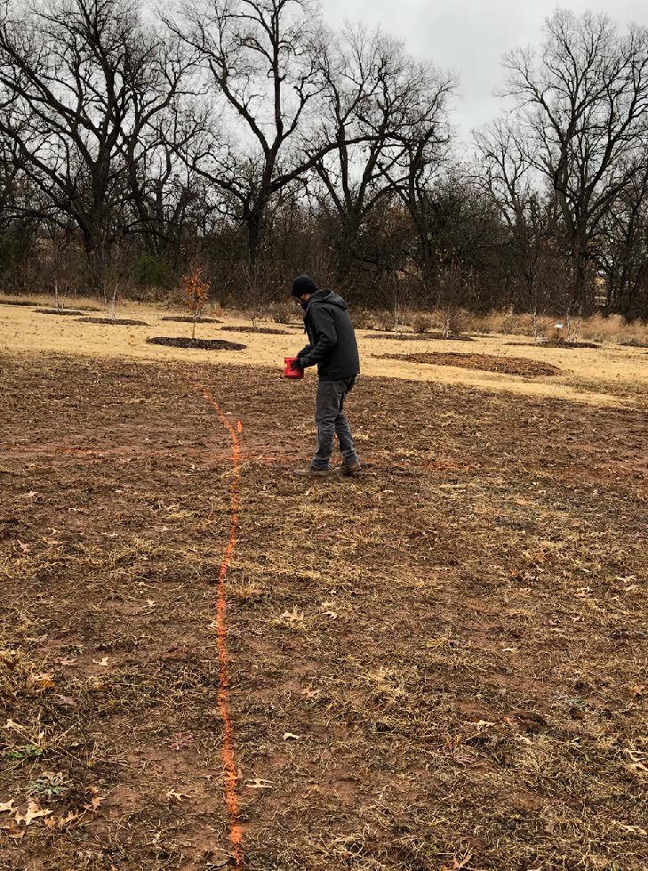 Wildflower Gardening in Oklahoma