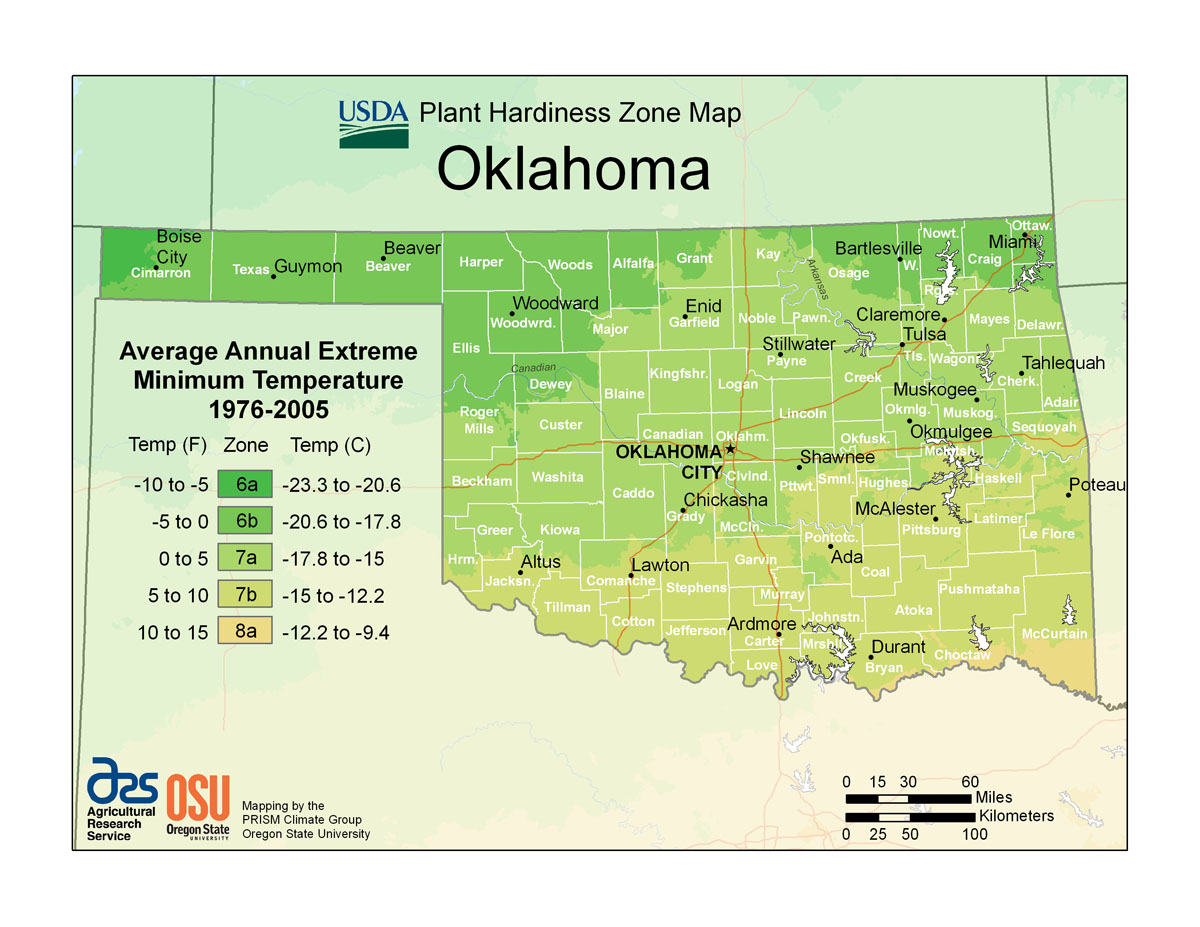 USDA Plant Hardiness Zone Map of Oklahoma. USDA Plant Hardiness Zone Map of Oklahoma.