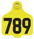 Yellow 789 ID ear tag.