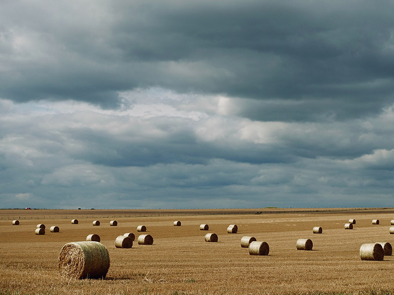A field with round hay bales in it and a stormy sky in the background.