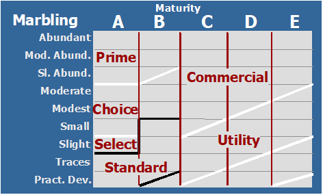 This chart shows how marbling scores down the left hand column relate to Beef Quality Grades. This chart shows how marbling scores down the left hand column relate to Beef Quality Grades.