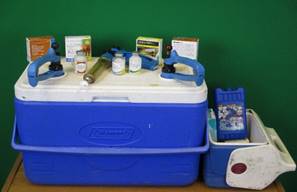A big and small blue cooler with vaccination materials