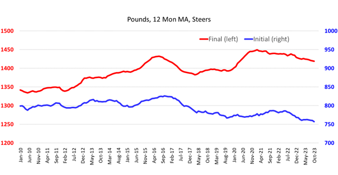 chart of initial and final weight of the last 12 months of steers