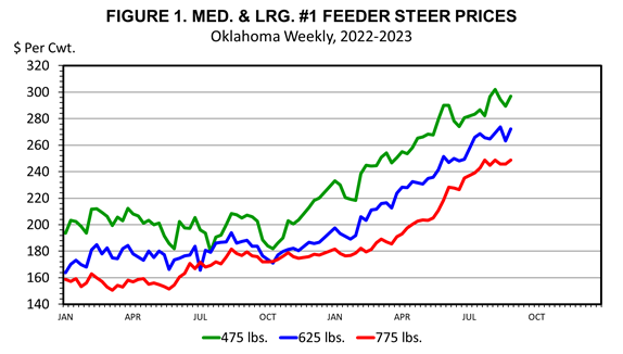 Medium and large (475, 625 and 755 pounds) feeder steer prices are being compared by $ per cwt from January through October.