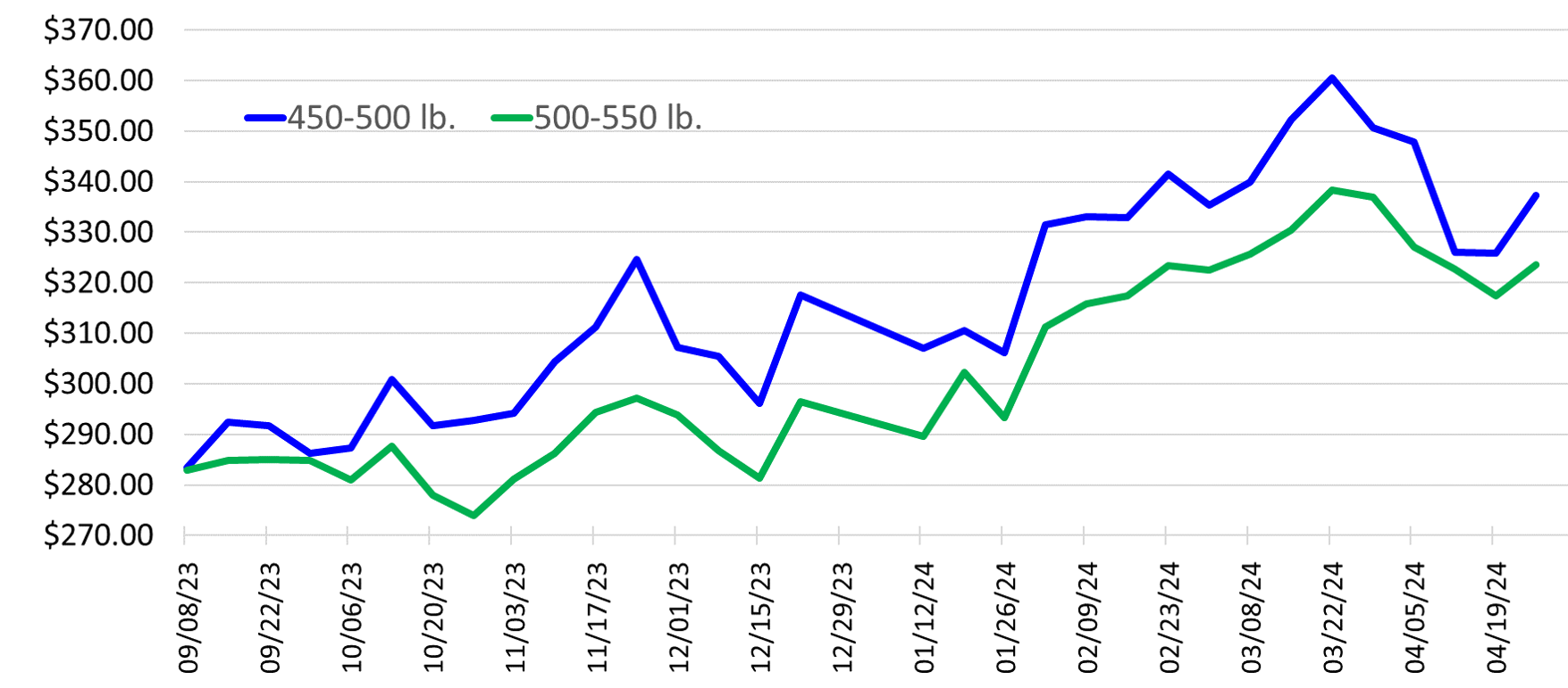 A line graph showing the prices for steer calves at Oklahoma auctions from 9/8/2023 to 4/19/2022. The vertical axis starts at $270 and ends at $370. A blue line shows the trends of 450-500 pound steers and a green line, the trend of 500-550 pound steers.
