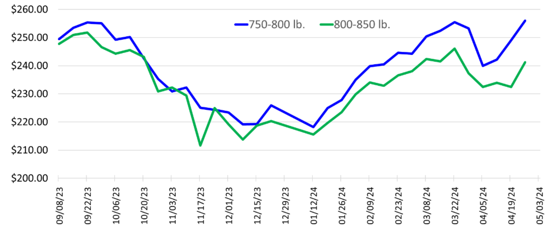 A line graph showing the prices for steer calves at Oklahoma auctions from 9/8/2023 to 5/3/24. The vertical axis starts at $200 and ends at $260. A blue line shows the trends of 750-800 pound steers and a green line, the trend of 800-850 pound steers.