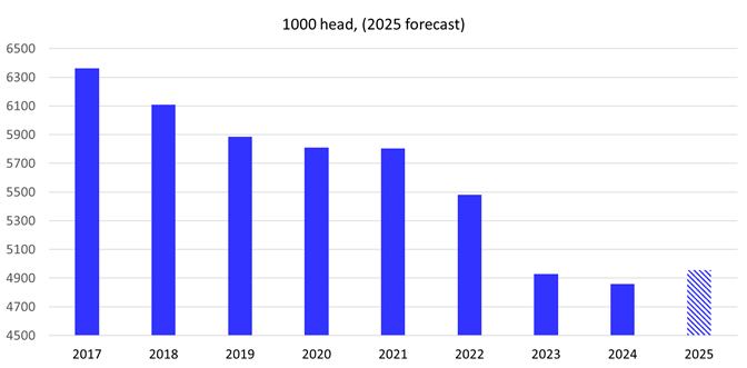 This graph has 1000 Head (2025 forecast) on top and 4500 to 6500 on the left and years bottom from 2017 to 2025. Blue rectangles show the results for each year.