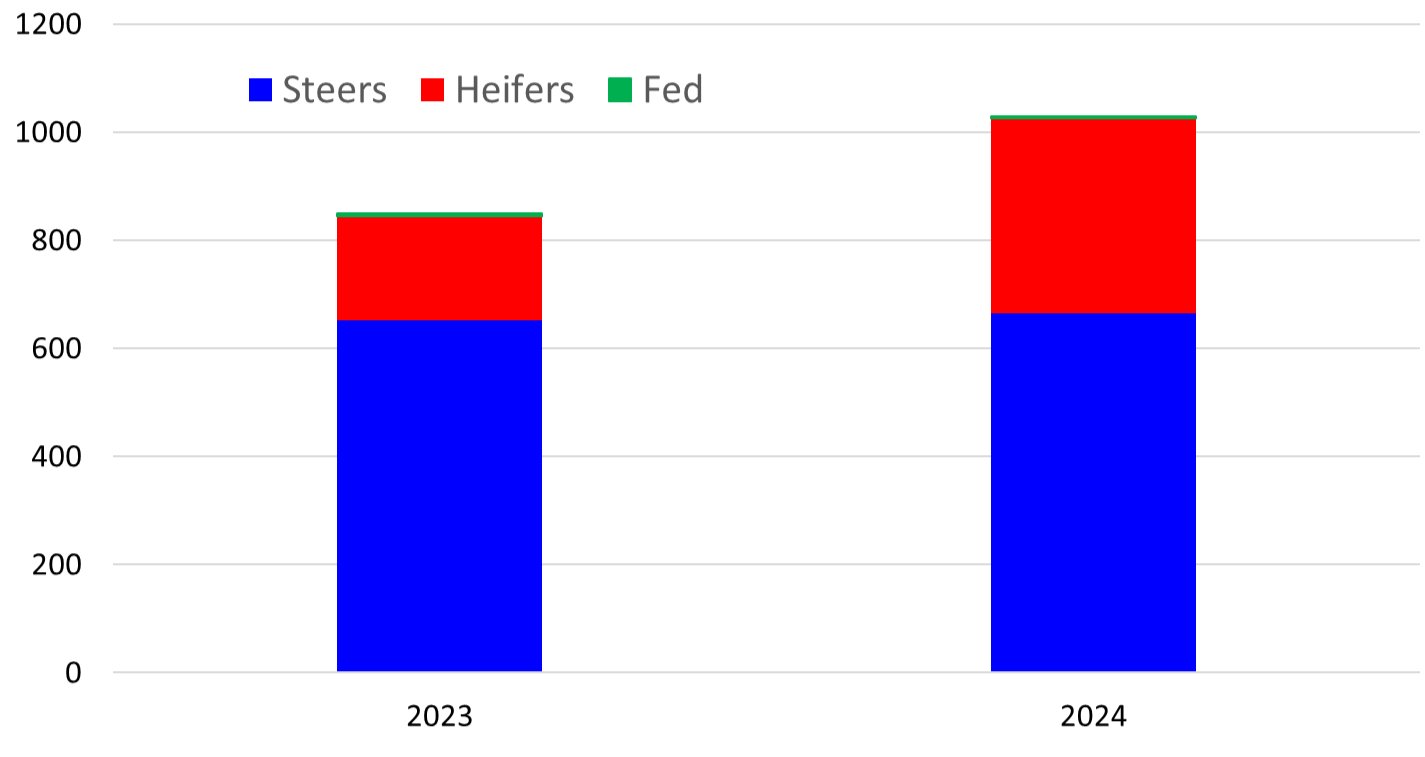 A bar graph comparing the 2023 and 2024 U.S. Imports of Mexican Cattle. The bars are broken into three colors, blue, red and green. The blue represents the Steers, the red represents the heifers, and the green represents fed. The 2024 bar shows an increase in the Heifers and Fed bars from above 880 in 2023 to above 1000 in 2024 but the bar respresenting steers stays mostly the same at above 600.