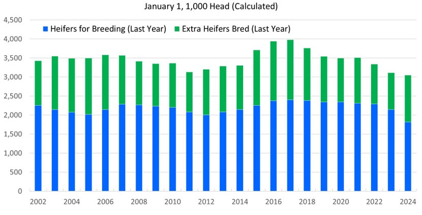 Bar graph depicting number of Beef replacemnet heifers expected to calve from 2002 to 2024.