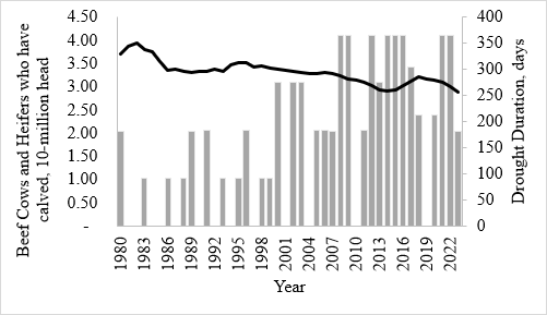 Beef Cow and Heifers who have calved, 10-million head from .050 to 4.50 on the left side and Years on the bottom from 1980 to 2022 and Drought Duration, days from 0 to 400 on the right.