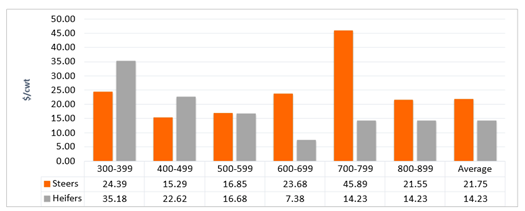 2023 OQBN Premiums by Weight Class and Gender double bar graph. The left side of the graft measures the $/cwt from 0 to 50. The bottom line shows the weight classes. The chart is then divided into Steers and Heifers. It reads as follows: 300-399, Steers 24.39, Heifers 35.18; 400-499, Steers 15-29, Heifers 22.62; 500-599, steers 16.85, Heifers 16.68; 600-699, Steers 23.68, Heifers 7.38; 700-799, Steers 45.89, Heifers 14.23; 800-899, Steers 21.55, Heifers 14.23; Average, Steers 21.75, Heifers 14.23.