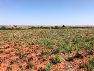 A field of patchy green grass and red dirt.