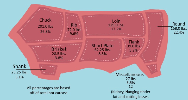 Various Primal Cuts of Beef from a 1,200-pound Live Steer.