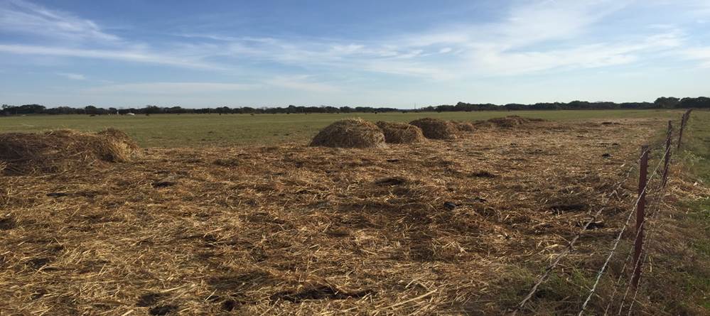 A large field with many broken up hay bales and the hay spread around the field.