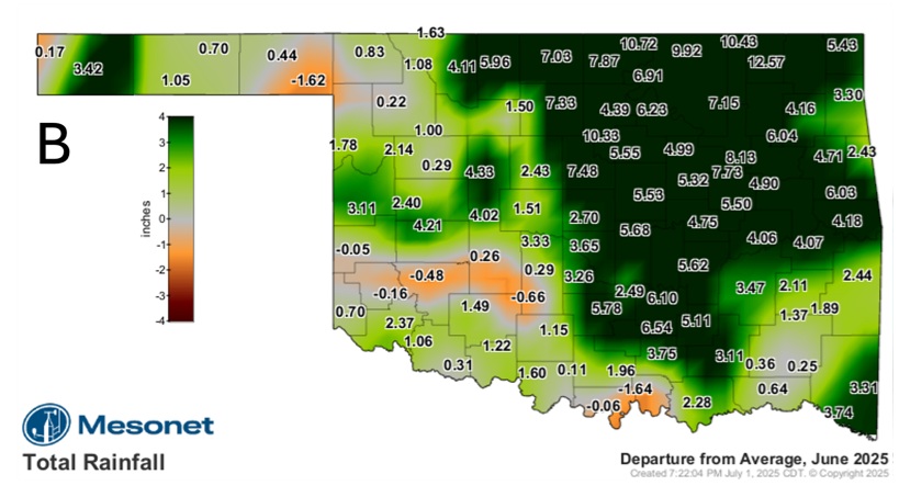Oklahoma state map showing departure from average, June 2025 total rainfall.