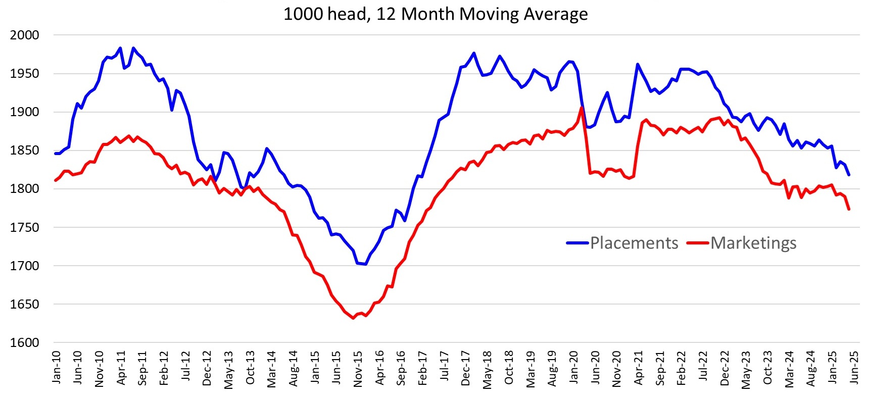 A line graph showing 1000 Head, 12 month moving average between Feedlot Placements, and Marketings.