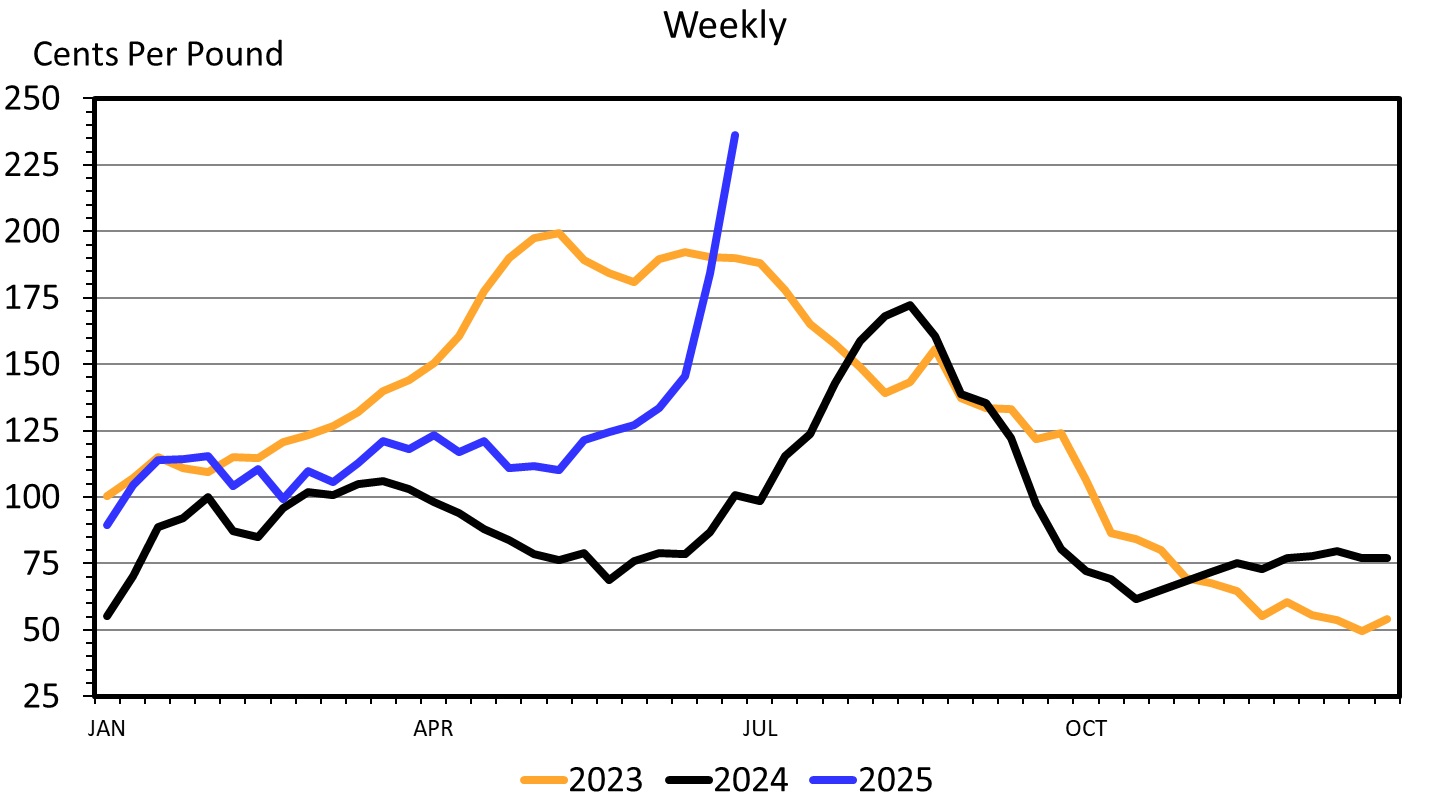 A line graph showing cents per pound for Wholesale Beef Fresh 50 Percent Lean. Compairing weekly cost for years 2023, 2024, up to June 2025. Showing higher price fluctuation for each year and the spike in June 2025.