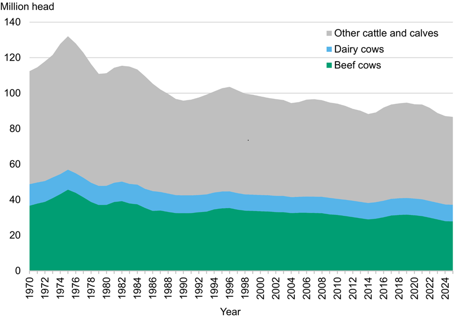 Graph showing Cattle and cow inventories for years 1970-2025. For Other cattle and calves, Dairy cows, Beef cows.