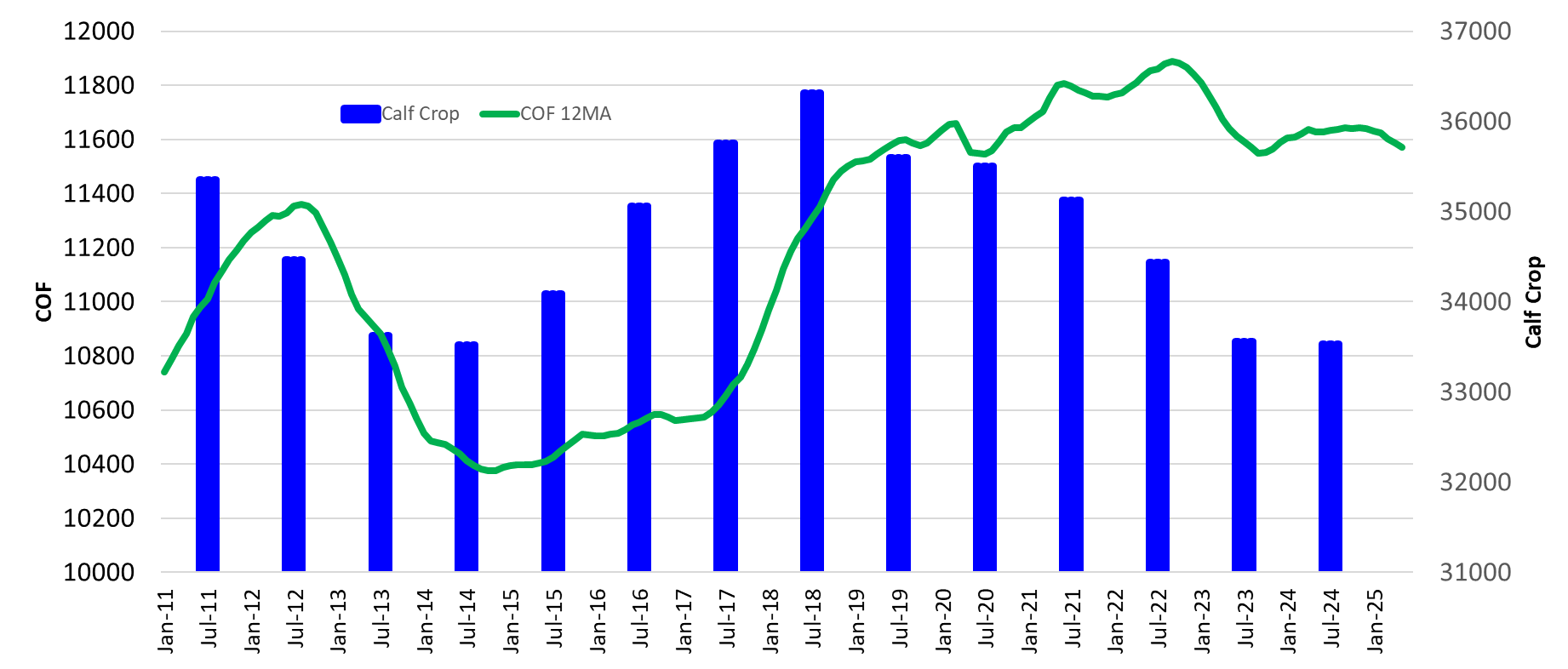 Graph on: Cattle on feed and Calf Crop COF range 10000-12000 (per 1000 heads) Calf Crop 31000 - 37000 (per 1000 heads) Period: Jan 2011 - Jan 2025 Showing Feed lot numbers over the last 14 years