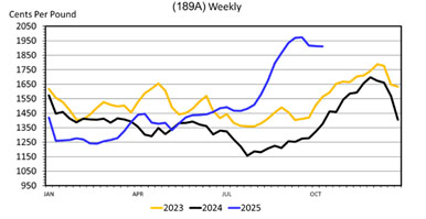 This Wholesale Beef Tenderloin (114E) Weekly graph has Cents Per Pound on the left from 300 to 600 and the dates from January to October on the bottom. A yellow line for 2023, a black line for 2024 and a blue line for 2025.