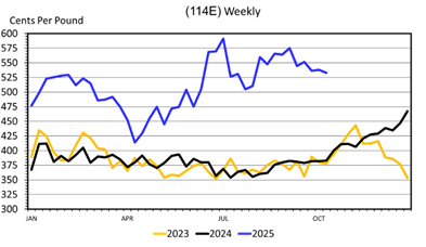 This Wholesale Beef Chuck arm Roast (114E) Weekly graph has Cents Per Pound on the left from 300 to 600 and the dates from January to October on the bottom. A yellow line for 2023, a black line for 2024 and a blue line for 2025.