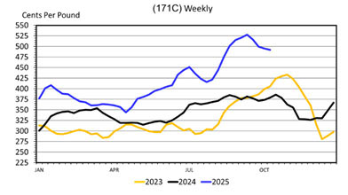 This Wholesale Beef Brisket Prices (171C) Weekly graph has Cents Per Pound on the left from 225 to 550 and the dates from January to October on the bottom. A yellow line for 2023, a black line for 2024 and a blue line for 2025.