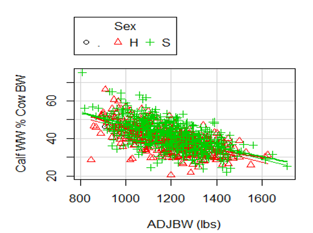 This graph displays Calf WW % Cow BW on the y-axis, ranging from 20 to 60, and ADJBW (lbs) on the x-axis. At the top, a legend labeled “Sex” identifies data points with the following symbols: a black circle, a red triangle, labeled “H”, a green plus symbol, and an “S”.