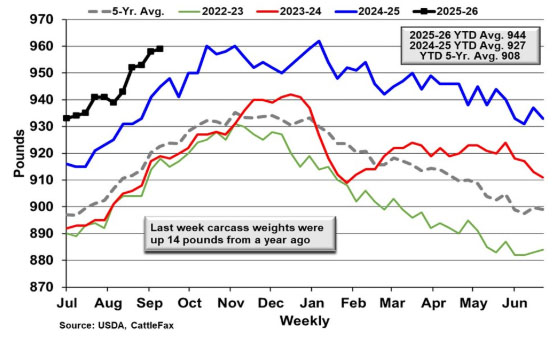 This graph has the pounds on the left from 870 to 970 and the dates form July to June on the bottom. A gray line for 5 year average, a green line for 2022-23, a red line for 2023-24, a blue line for 2024-25 and a black line for 2025-26. 2025-26 YTD avg. 944, 2024-25 YTD avg. 927 and YTD 5-year average 908. Last week carcass weight were up 14 pounds from a yea ago.