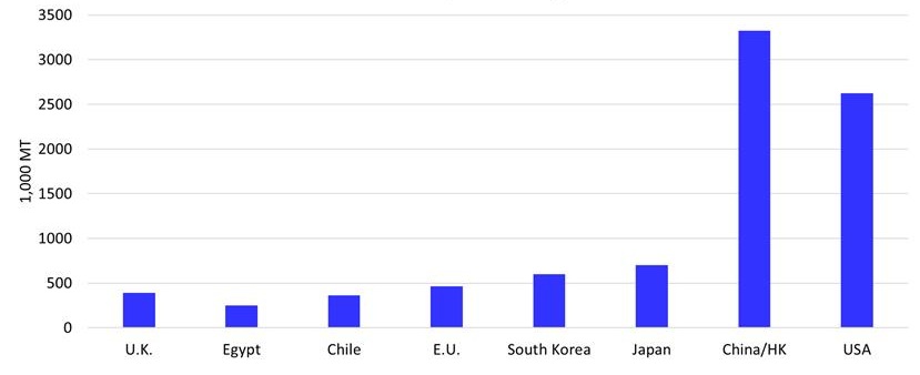 This graph illustrates the projected beef imports for selected countries and regions for the year 2026, measured in 1,000 metric tons of carcass weight.
