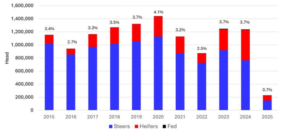 Mexican Border Basics Figure 1 Bar chart of Mexican cattle imports, 2015–2025. Imports peak near 1.45M head in 2020, then fall to about 0.2M in 2025. Steers dominate. Share of calf crop ranges from 2.5% to 4.1%.