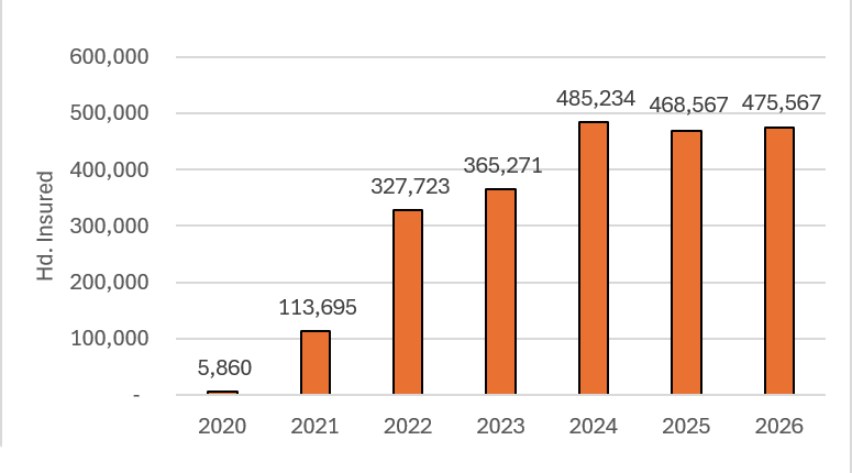 LRP Oklahoma Annual Usage Bar chart showing LRP annual usage increasing from 5,860 head insured in 2020 to 475,567 in 2026, with the largest increase occurring between 2021 and 2022.