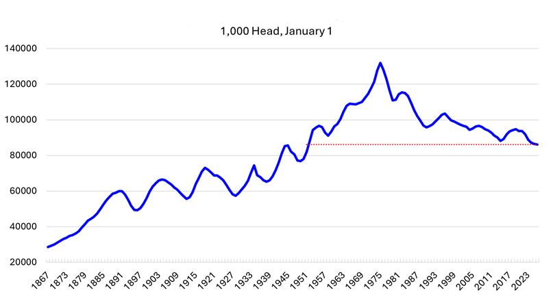  This graph illustrates cattle head counts from 1867 to 2023, ranging from approximately 20,000 to 140,000 animals. The population reaches its peak in 1980 at around 130,000 head before declining to roughly 90,000 in 2023.