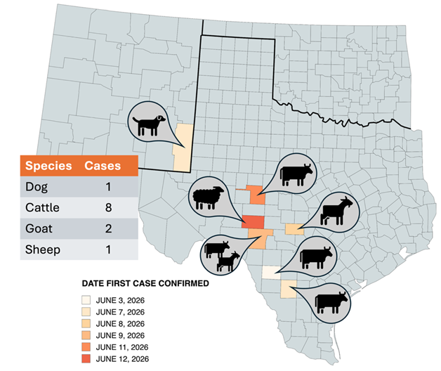 The Texas map showing icons of dogs, cattle, goat and sheep to determine the New World Screwworm detections amongst these species with dogs having 1 case, cattle having 8 cases, goats having 2 cases and sheep having 1 case.
