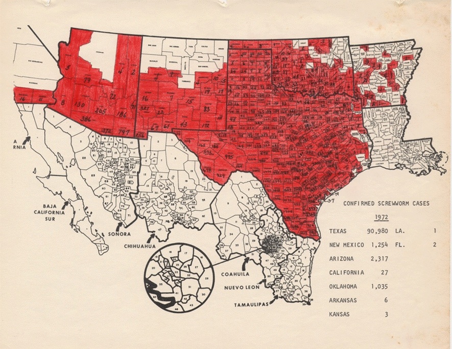 An official 1972 United States Department of Agriculture (USDA) map detailing the outbreak of New World screwworm cases for Texas, New Mexico, Arizona, California, Oklahoma, Arkansas, Kansas, Florida and Louisiana.
