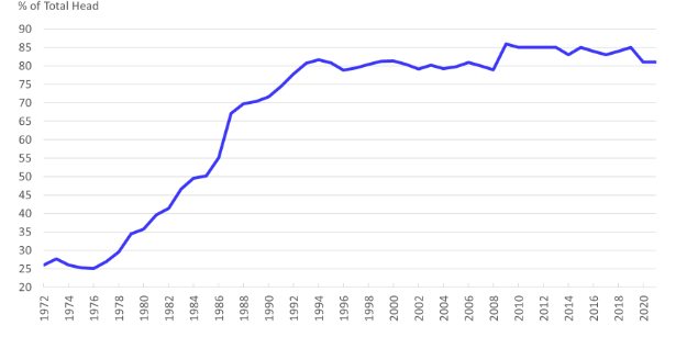 A line graph with a blue line from left to right in an upward angle that demonstrates the four-firm concentration ratio for steer/heifer packing.