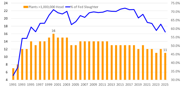 A bar/line graph with orange bars and a blue line to demonstrate the large beef packer % of fed slaughter.