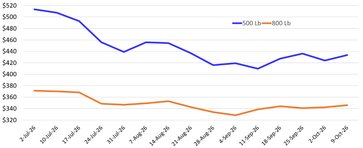 A bar chart shows the feeder cattle prices on a weekly basis in Oklahoma with $320 to $520 on the x-axis and July 2, 2026 to October 9, 2026 on the y-axis. An orange line represents 500 lbs., and a blue line represents 800 lbs.