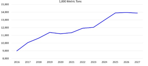 A line graph showing global beef exports from 2016 to 2027, measured in 1,000 metric tons. Imports rise from 9,000 in 2016 to nearly 14,000 in 2025, then remain relatively stable through 2027, with a slight decline.