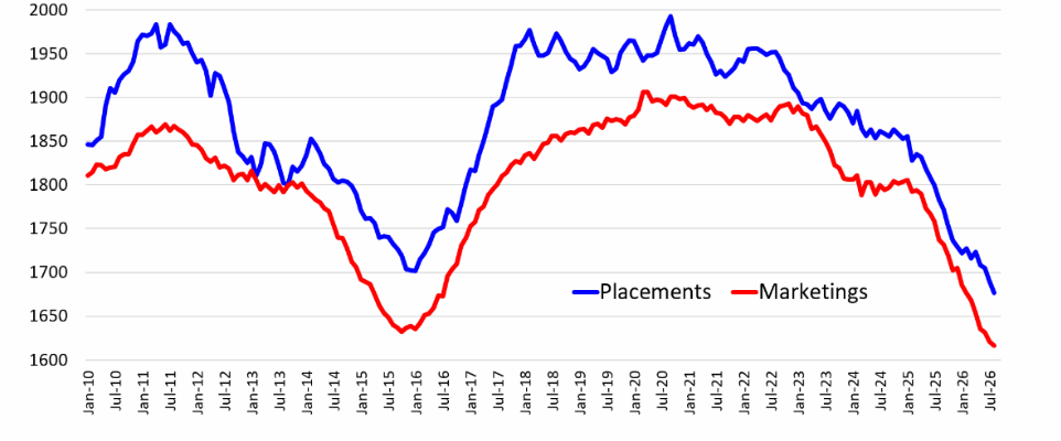 Line graph shows cattle feedlot placements and marketings from January 2010 to July 2026, with placements consistently higher than marketings in recent years.