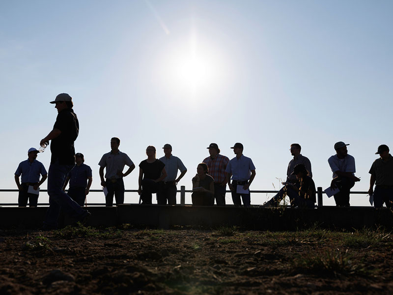A crowd of people lined up by a fence with a bright sun in the sky.