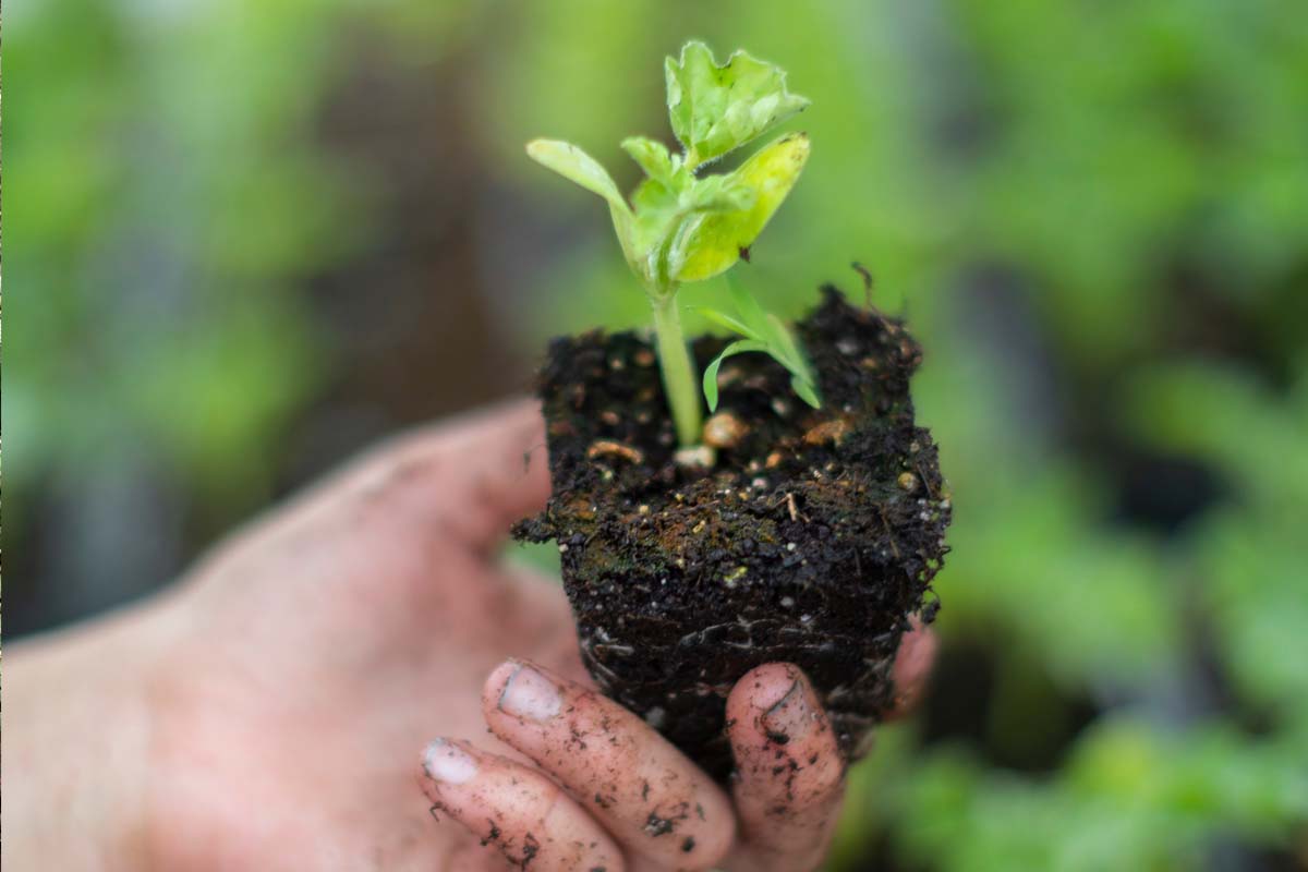 Beginning Farmer & Rancher | Oklahoma State University