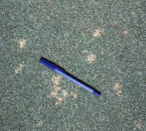 Dollar Spot of Turfgrass