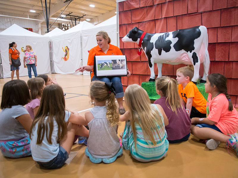 A woman showing a picture of a dair cow to students.