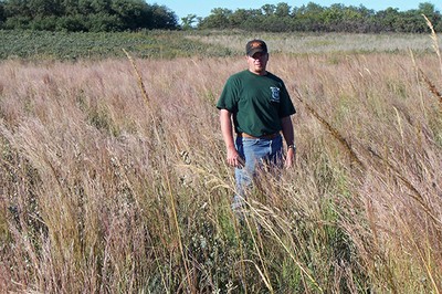 Fire Frequency in Sand Shinnery Oak Grassland | Oklahoma State University