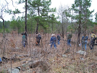 A group of students walking through the woods. A group of students walking through the woods.