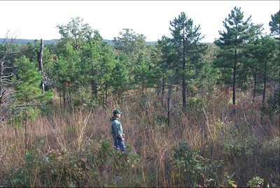 A man standing in a field of tall grass, shrubs and trees. A man standing in a field of tall grass, shrubs and trees.
